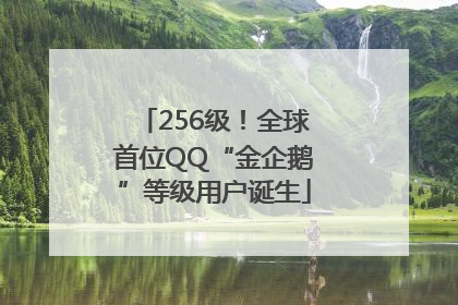 256级！全球首位QQ“金企鹅”等级用户诞生