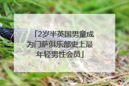 2岁半英国男童成为门萨俱乐部史上最年轻男性会员