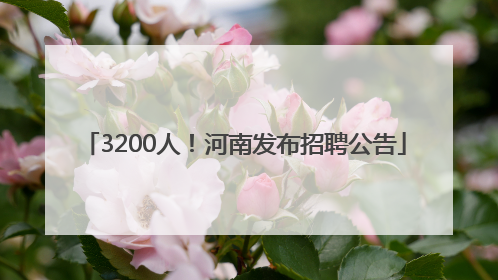 3200人！河南发布招聘公告