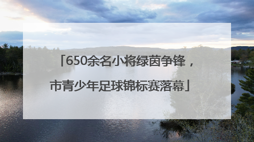 650余名小将绿茵争锋，市青少年足球锦标赛落幕