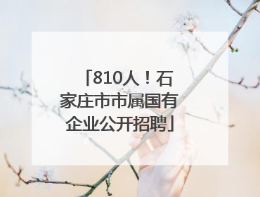 810人！石家庄市市属国有企业公开招聘