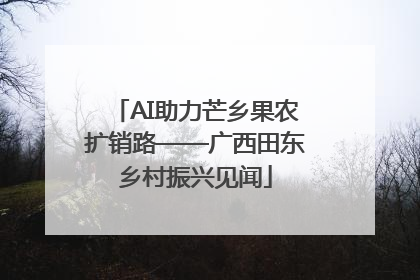 AI助力芒乡果农扩销路——广西田东乡村振兴见闻