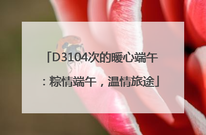 D3104次的暖心端午：粽情端午，温情旅途