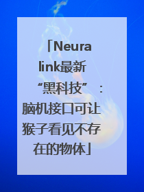 Neuralink最新“黑科技”：脑机接口可让猴子看见不存在的物体