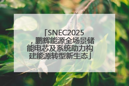 SNEC2025，鹏辉能源全场景储能电芯及系统助力构建能源转型新生态